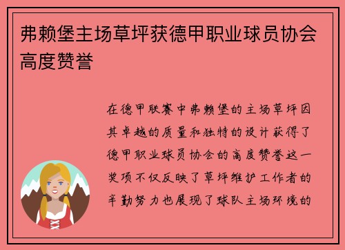 弗赖堡主场草坪获德甲职业球员协会高度赞誉